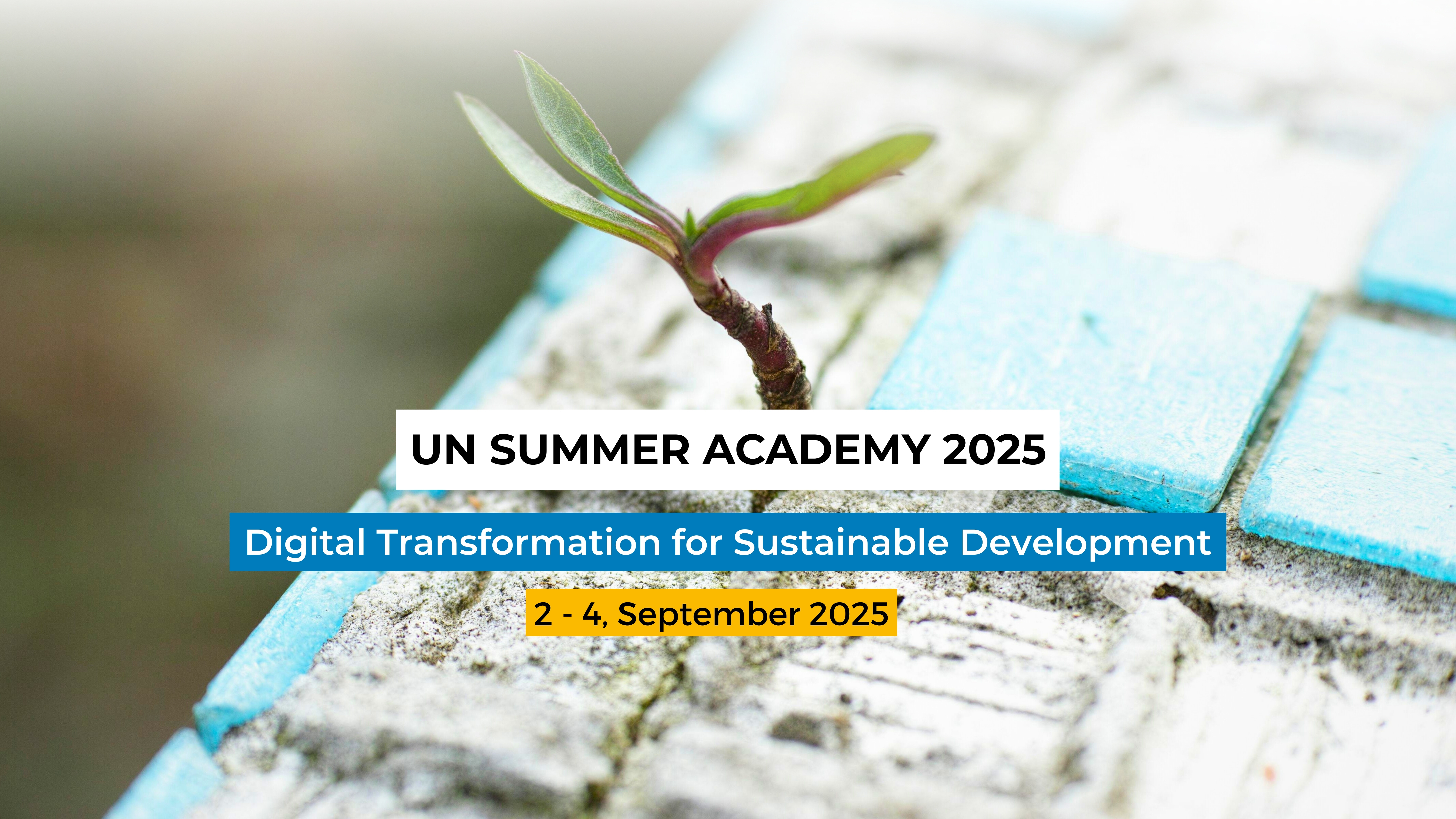 UN Summer Academy | UNSSC | United Nations System Staff College