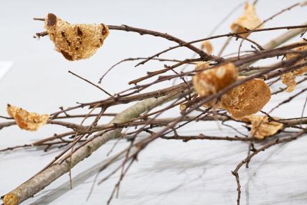 Flat bread on tree