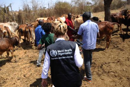 WHO personnel in the field