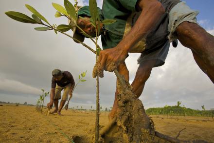 Fostering a sustainable world 