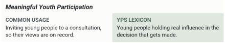 Definition of Meaningful Youth Participation. In common usage: inviting young people to a consultation, so their views are on record. In YPS Lexicon: Young people holding real influence in the decision that gets made