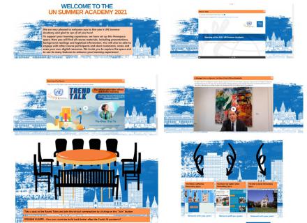 A visual representation of the activities at the virtual UN Summer Academy