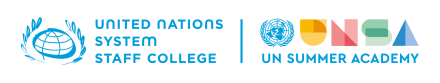 UN Summer Academy logo