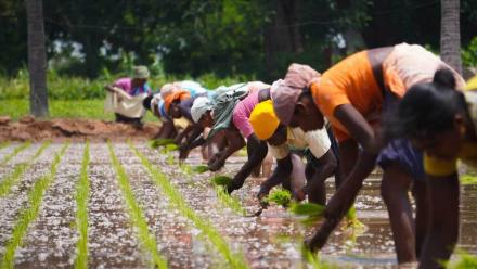 Peace and Security in a Changing Climate 