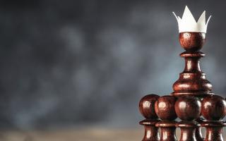 Chess without a queen: beyond COVID-19 - Blog