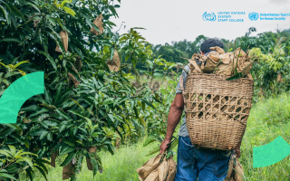 Man walking in a field with a bag on his back