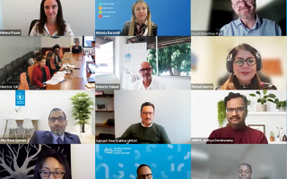 e-module was launched during a high-level event addressed by UN Development Coordination Office, UN resident coordinators, UN country teams, regional directors of UN development coordination offices, UN Entities at the regional level, and regional commissions, e-module UN collaborating partner